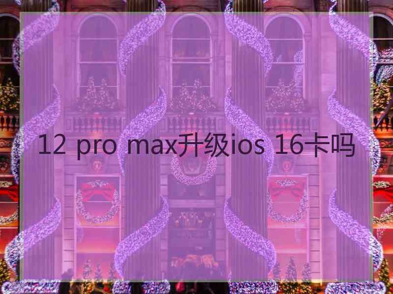 12 pro max升级ios 16卡吗