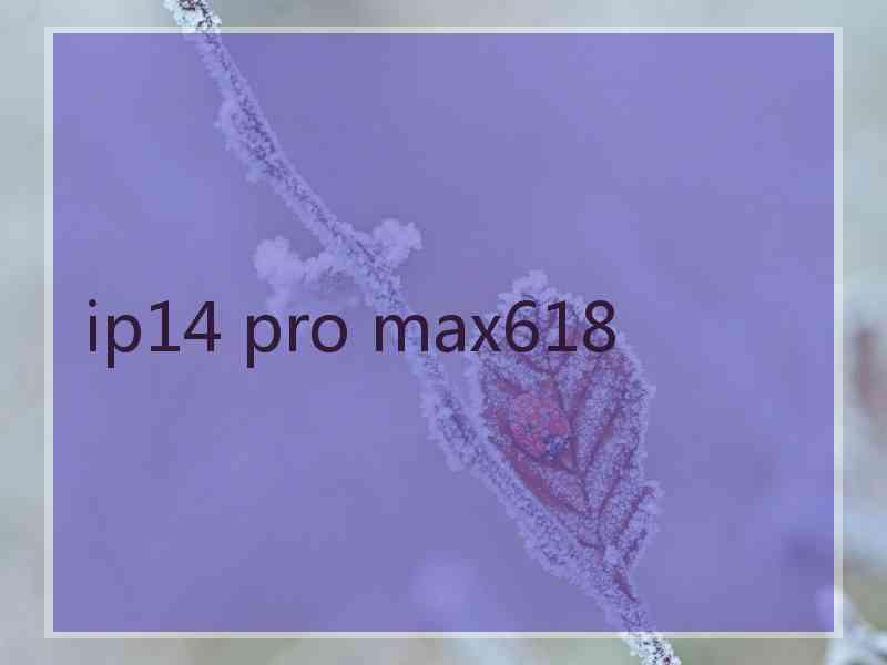 ip14 pro max618