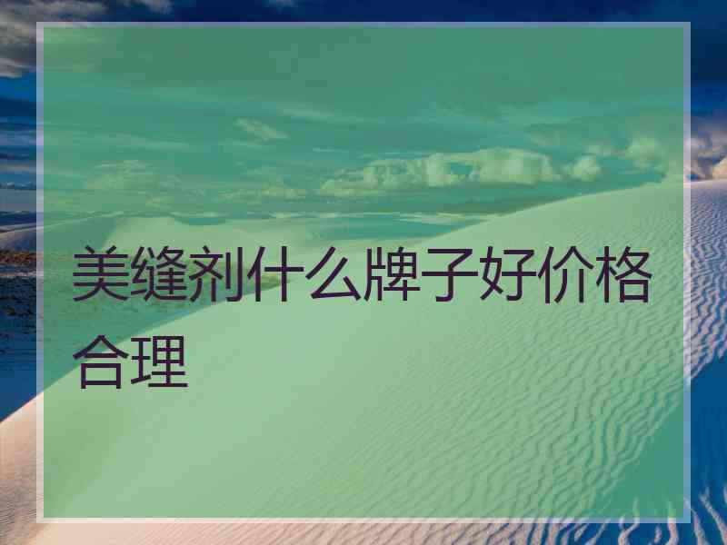 美缝剂什么牌子好价格合理