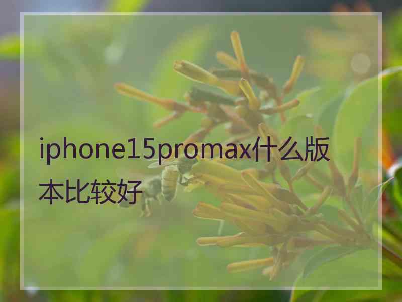 iphone15promax什么版本比较好