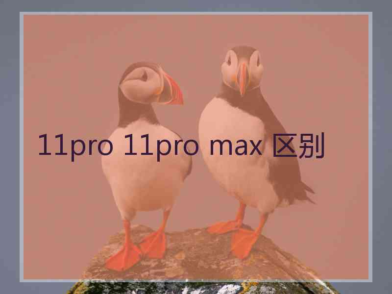 11pro 11pro max 区别