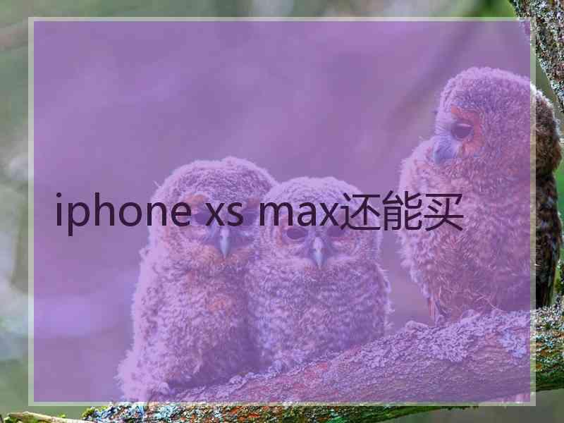 iphone xs max还能买