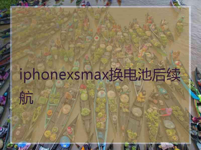 iphonexsmax换电池后续航