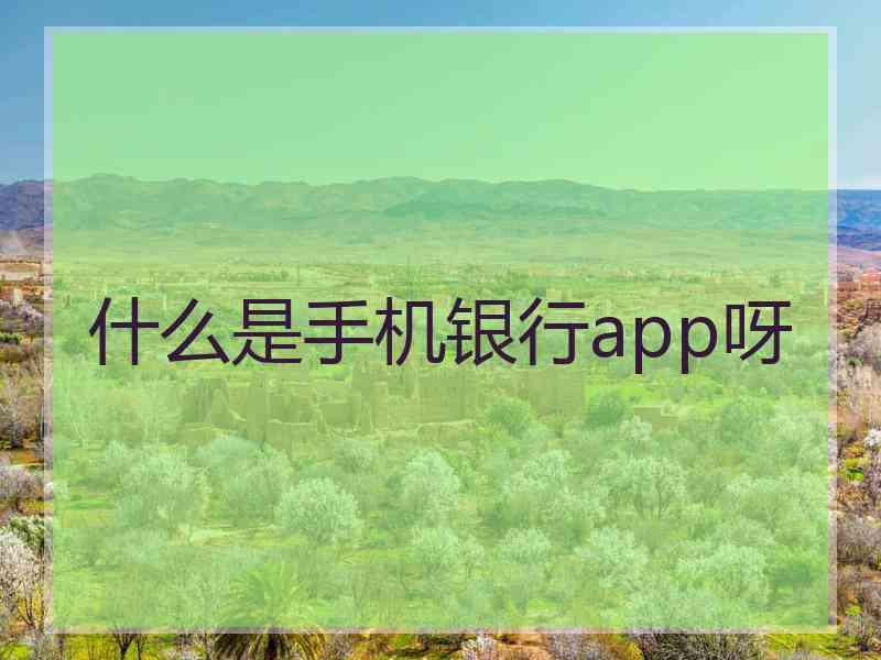 什么是手机银行app呀