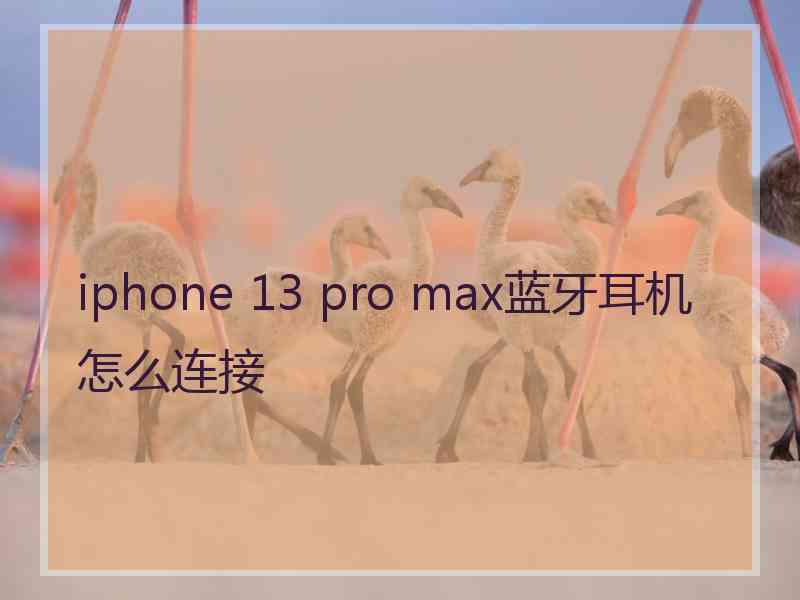 iphone 13 pro max蓝牙耳机怎么连接