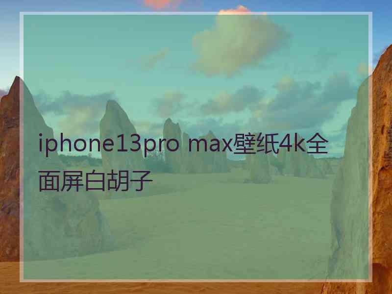 iphone13pro max壁纸4k全面屏白胡子