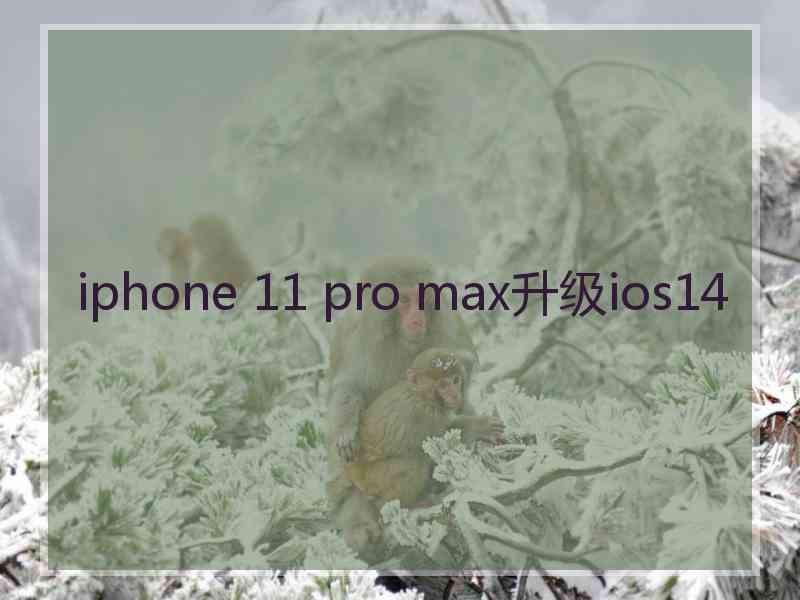 iphone 11 pro max升级ios14