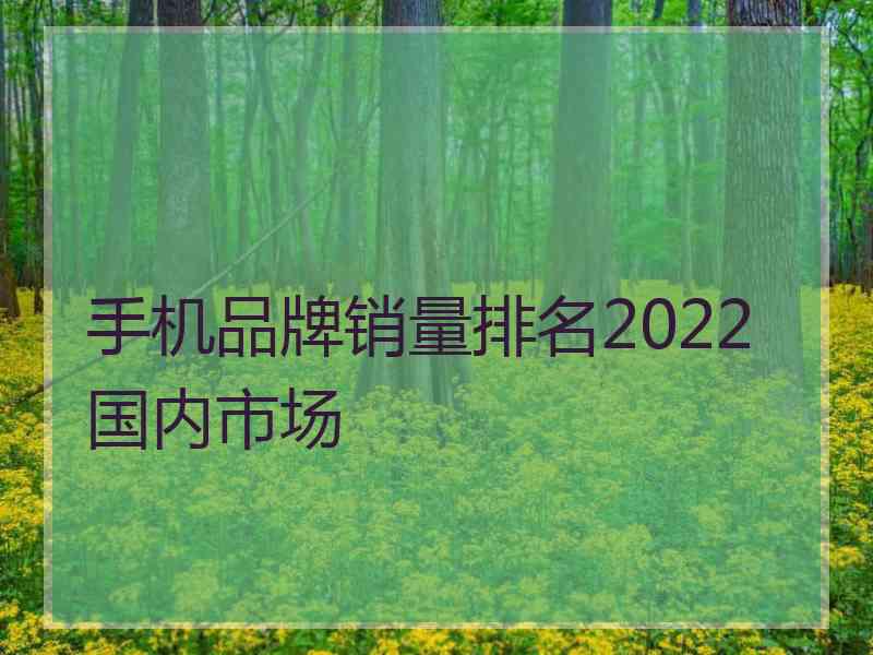 手机品牌销量排名2022国内市场