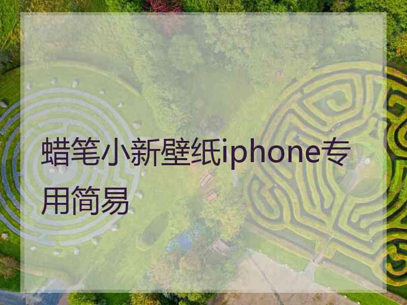 蜡笔小新壁纸iphone专用简易