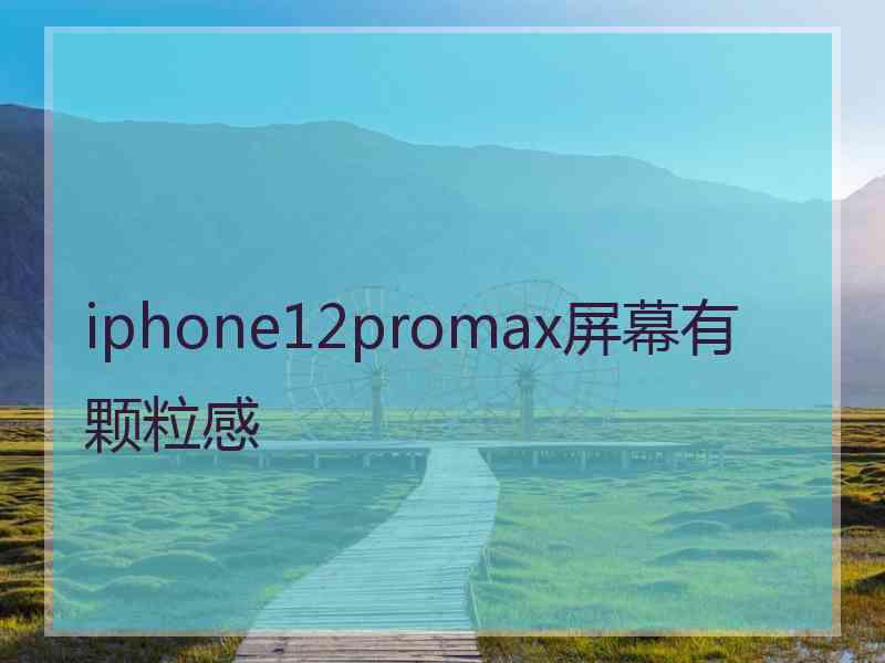 iphone12promax屏幕有颗粒感