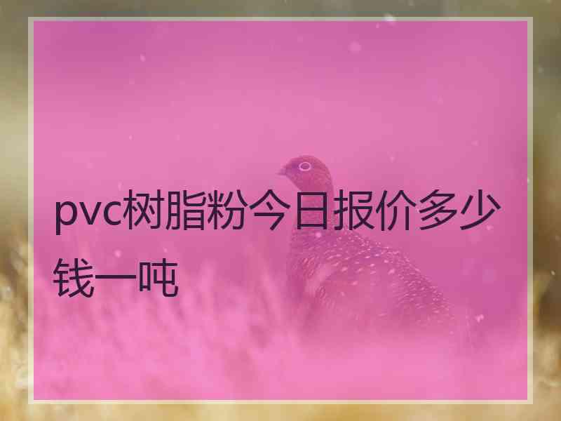 pvc树脂粉今日报价多少钱一吨