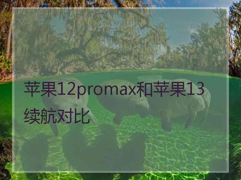 苹果12promax和苹果13续航对比