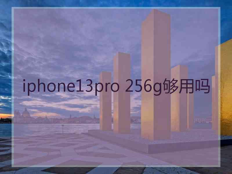 iphone13pro 256g够用吗