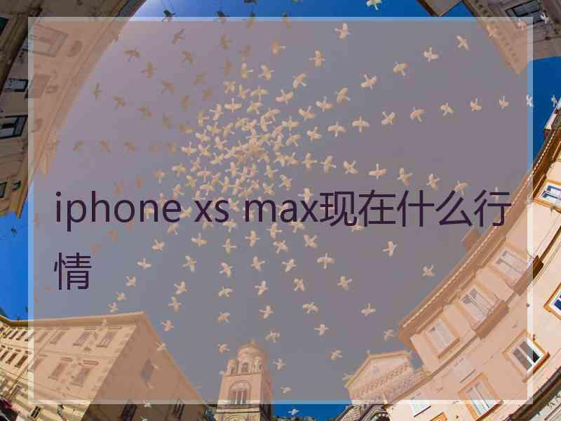 iphone xs max现在什么行情