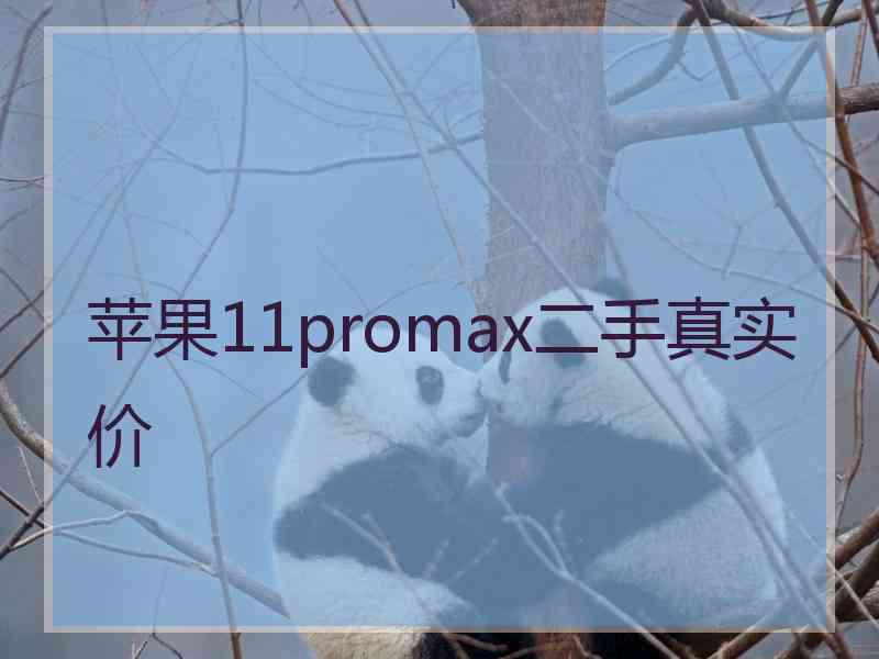 苹果11promax二手真实价