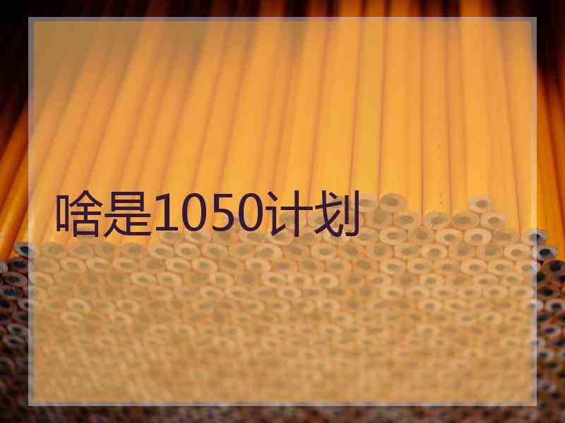 啥是1050计划