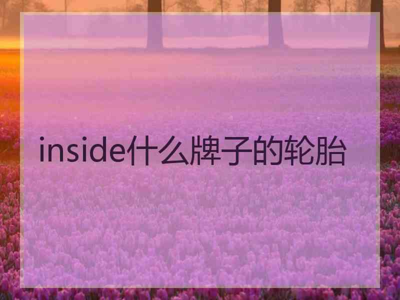 inside什么牌子的轮胎