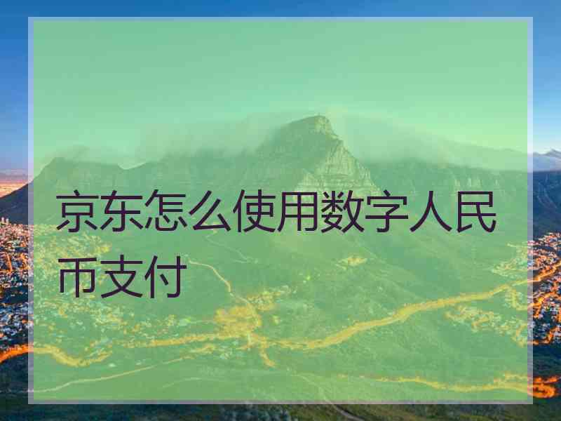 京东怎么使用数字人民币支付