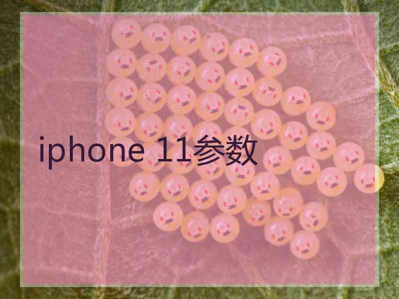 iphone 11参数