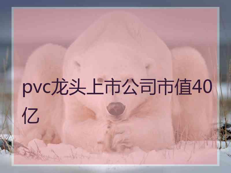 pvc龙头上市公司市值40亿