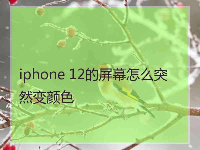 iphone 12的屏幕怎么突然变颜色