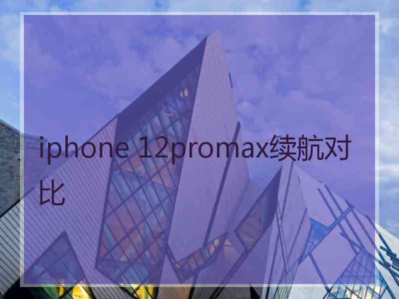 iphone 12promax续航对比