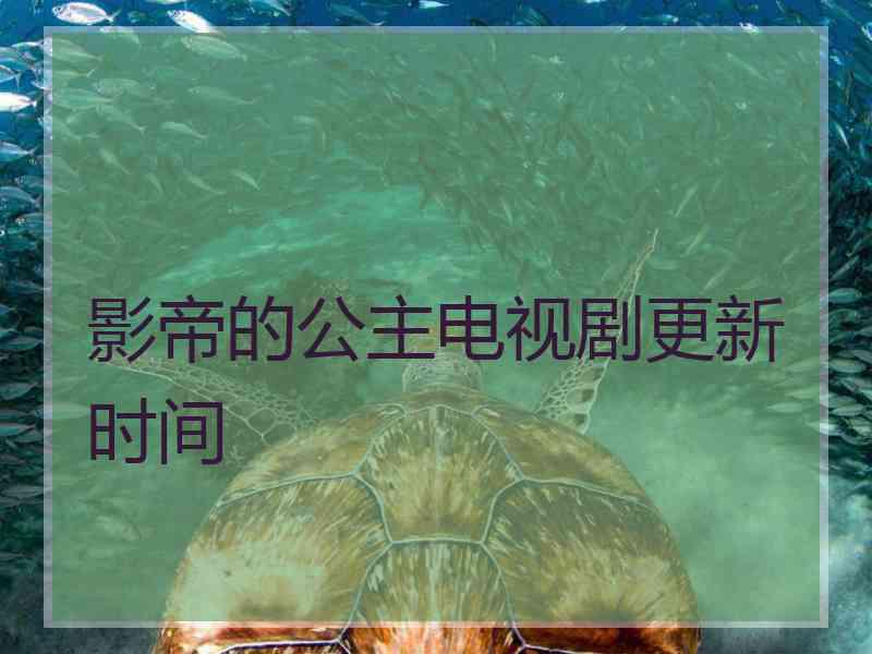 影帝的公主电视剧更新时间