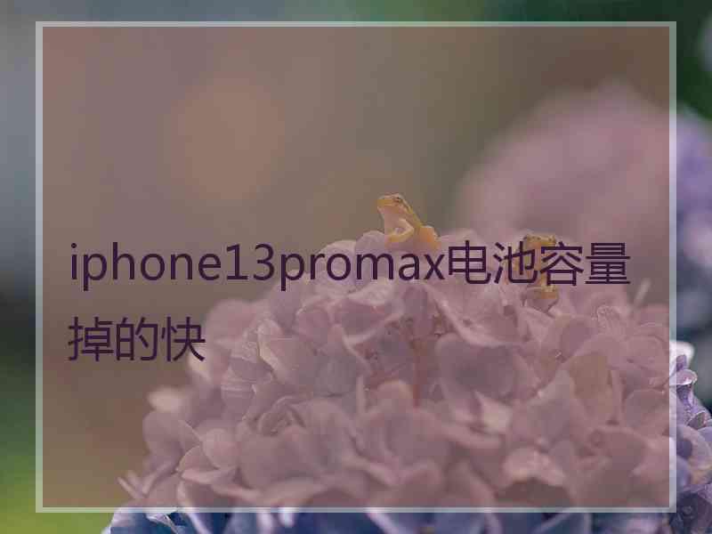 iphone13promax电池容量掉的快