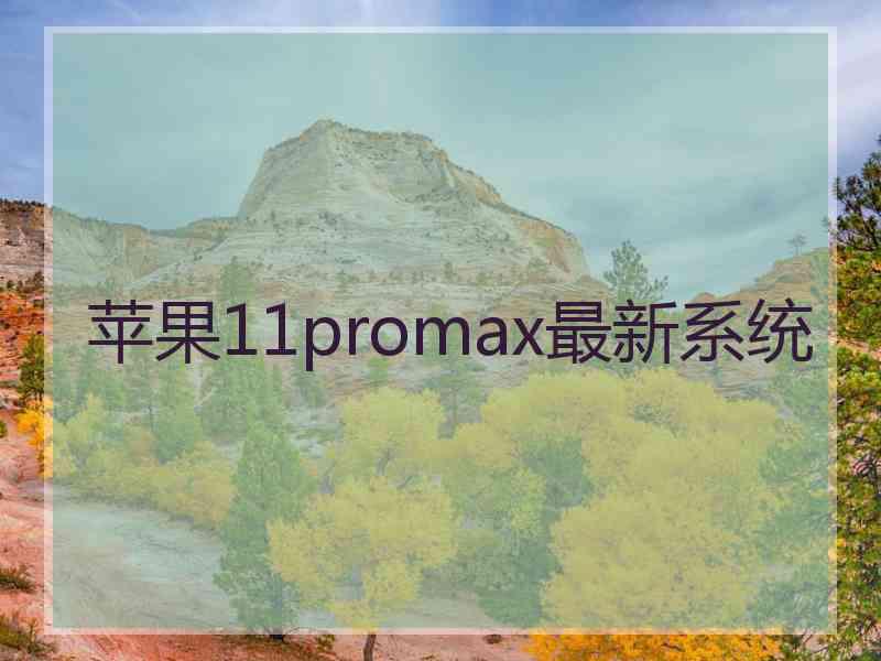 苹果11promax最新系统