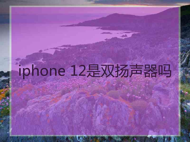 iphone 12是双扬声器吗