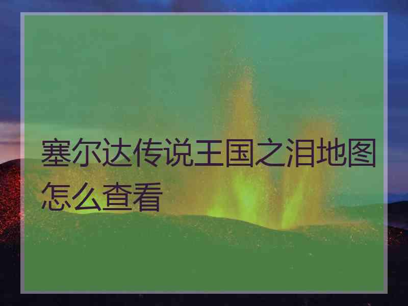 塞尔达传说王国之泪地图怎么查看