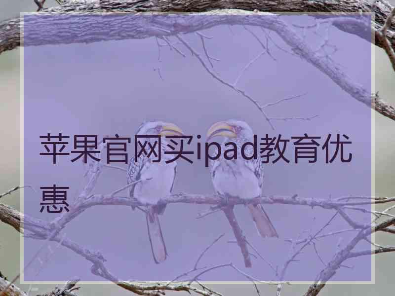 苹果官网买ipad教育优惠