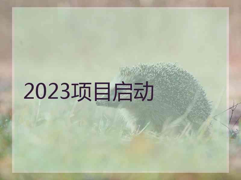 2023项目启动