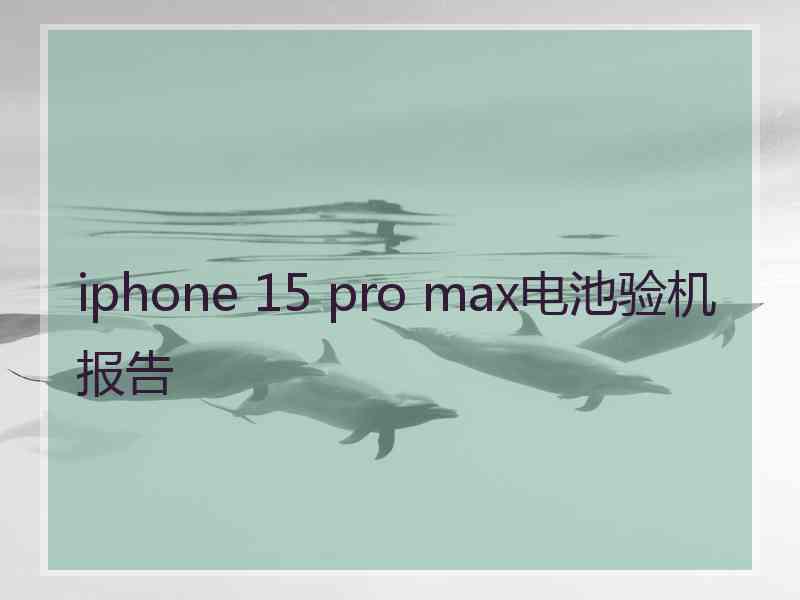 iphone 15 pro max电池验机报告