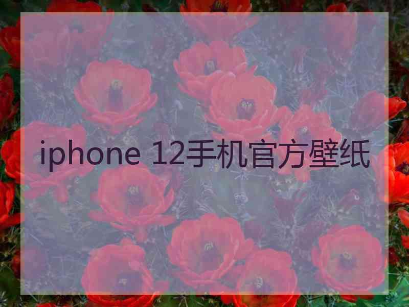 iphone 12手机官方壁纸