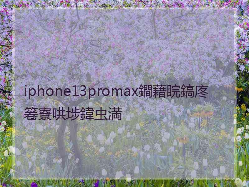 iphone13promax鐧藉睆鎬庝箞寮哄埗鍏虫満