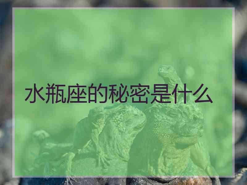 水瓶座的秘密是什么