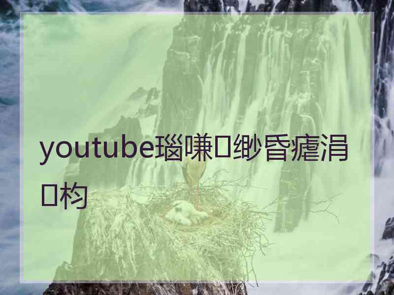 youtube瑙嗛缈昏瘧涓枃