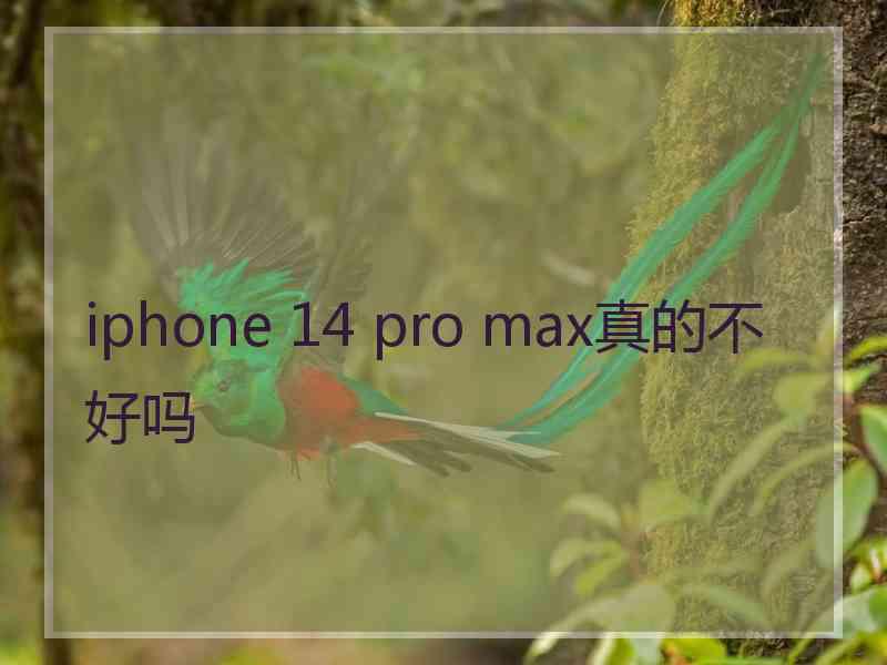 iphone 14 pro max真的不好吗