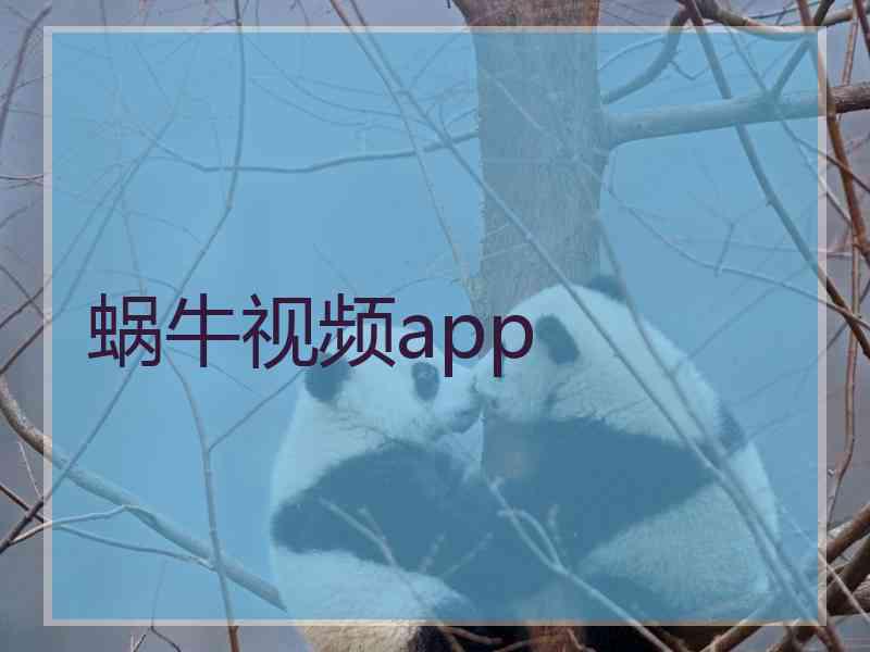 蜗牛视频app