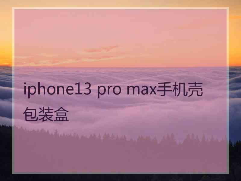 iphone13 pro max手机壳包装盒