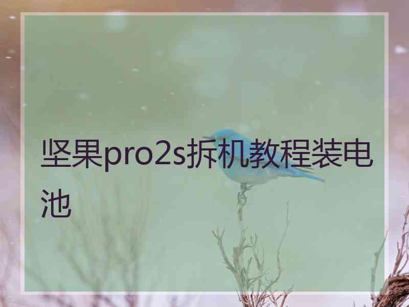 坚果pro2s拆机教程装电池