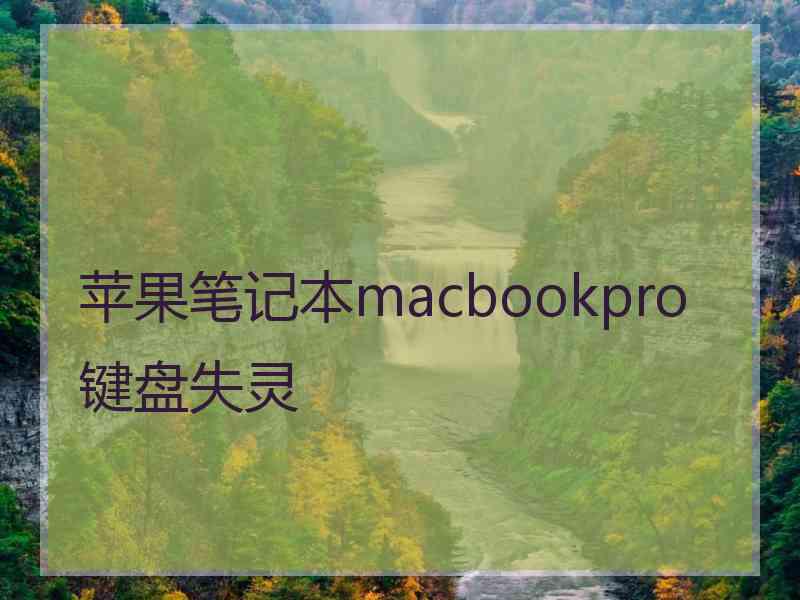 苹果笔记本macbookpro键盘失灵