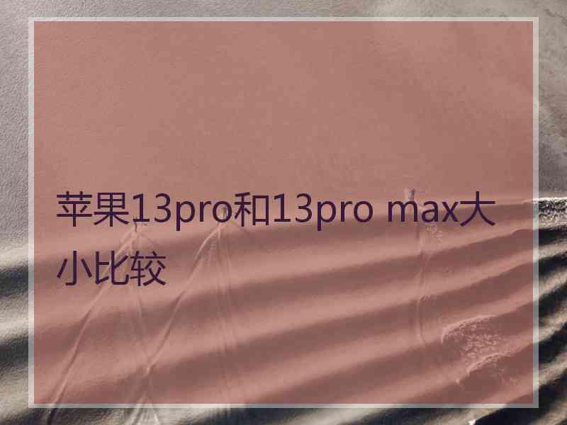 苹果13pro和13pro max大小比较