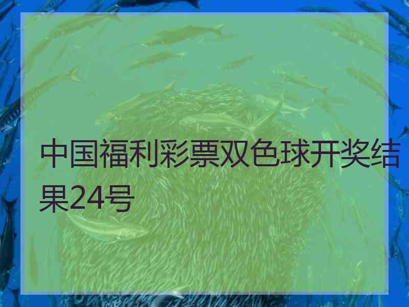 中国福利彩票双色球开奖结果24号