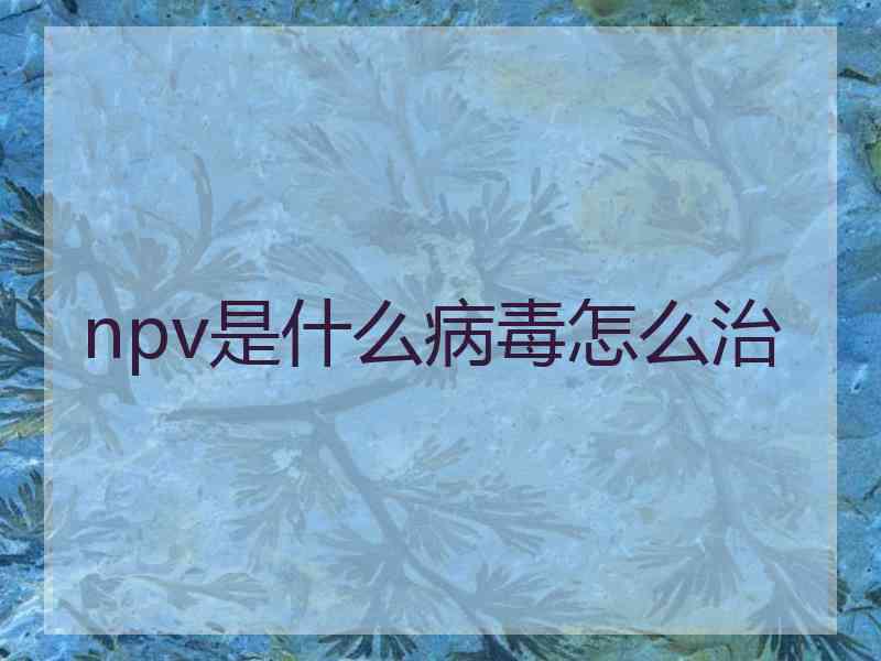 npv是什么病毒怎么治