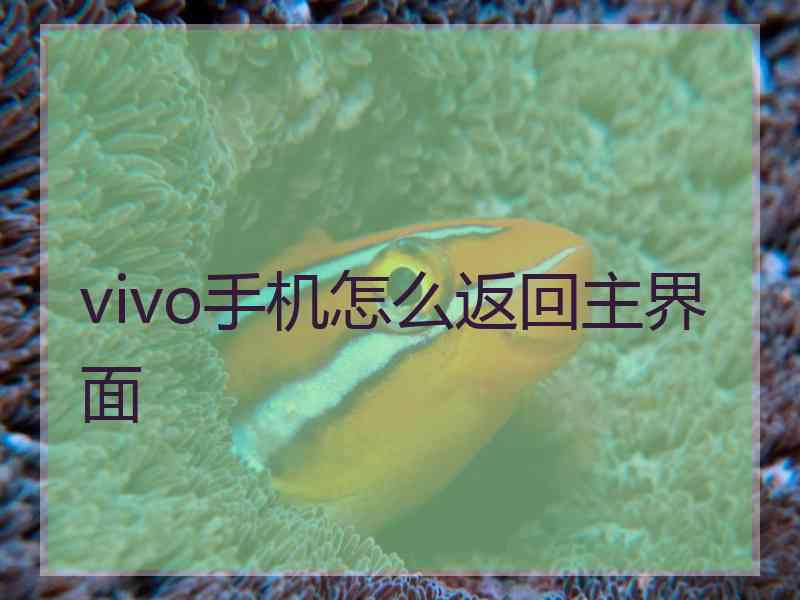 vivo手机怎么返回主界面