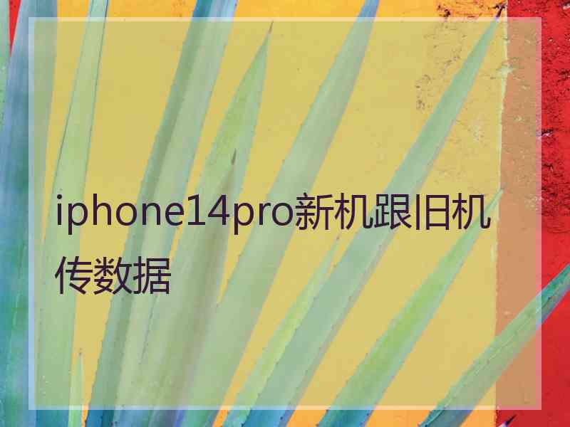 iphone14pro新机跟旧机传数据