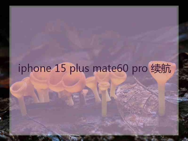 iphone 15 plus mate60 pro 续航