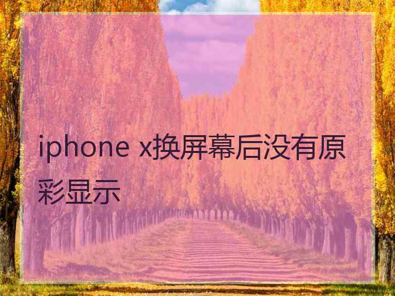 iphone x换屏幕后没有原彩显示